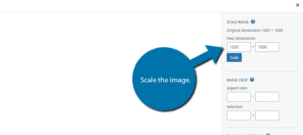 Escale la imagen para cambiar el tamaño de la imagen destacada en WordPress