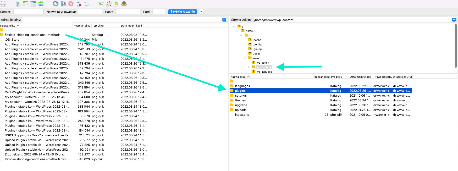 Transfiera el archivo del plugin a su carpeta Plugins