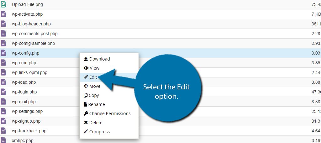 Editar configuración de WP