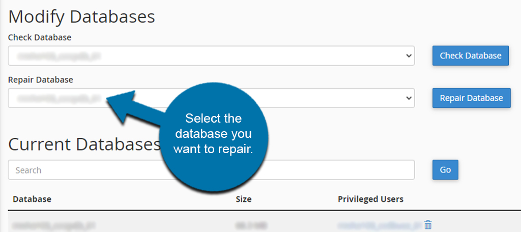 Seleccione la base de datos para reparar