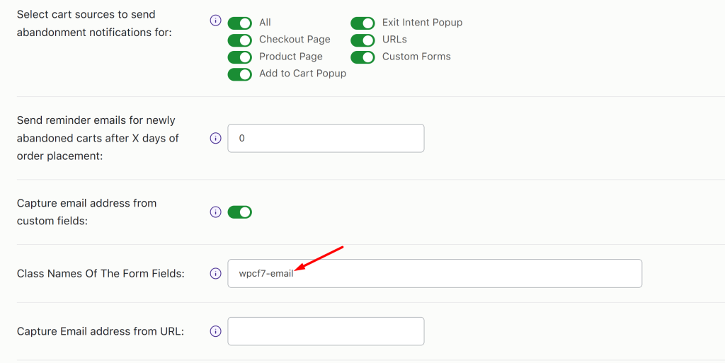 ¿Cómo capturar la dirección de correo electrónico de los campos personalizados en el plugin del carrito abandonado de WooCommerce?  - Softwares Tyche