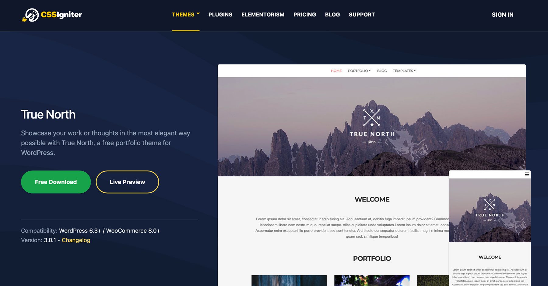 True North, los mejores temas de WordPress para principiantes