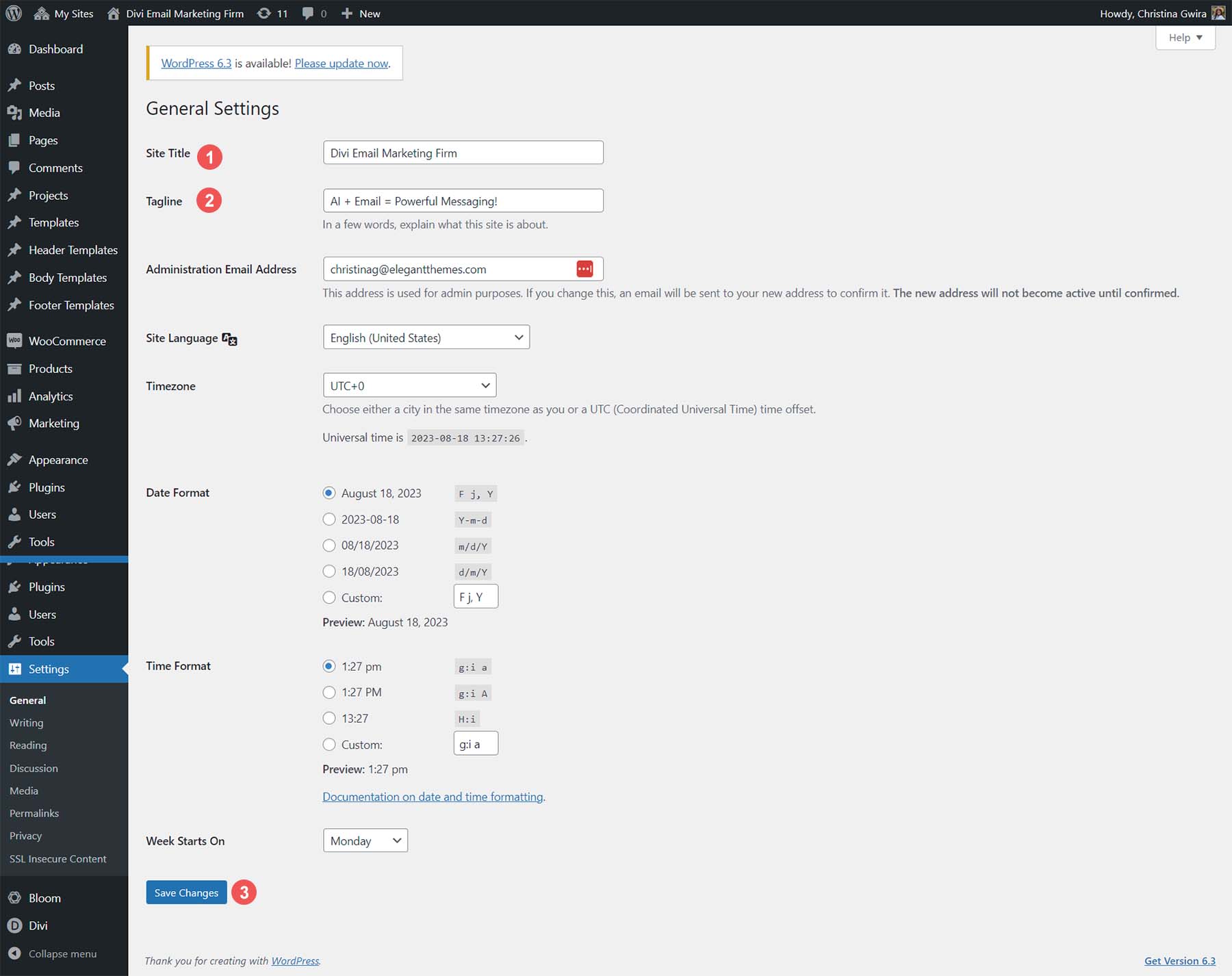 Cree el título del sitio y el eslogan para su nuevo sitio web de WordPress