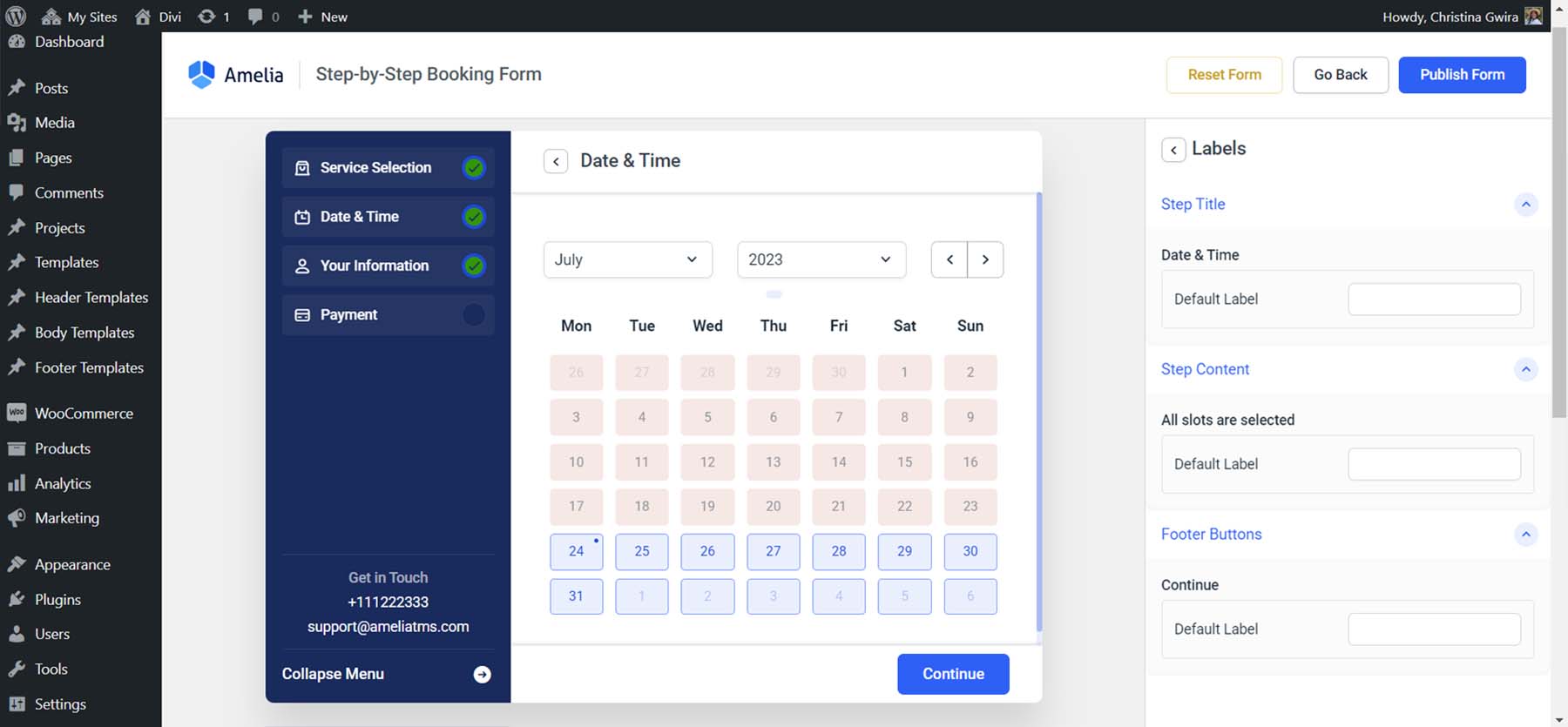 Personalización de fecha, hora y calendario para Amelia