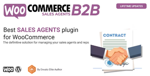 WooCommerce B2B Sales Agents-imagen_2023-10-28_223510455 png