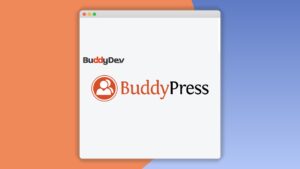 Buddypress Moderation Tools: Plugin WordPress para gestionar y asegurar tu comunidad