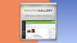 Envira Gallery: Plugin WordPress para mejorar la navegación de galerías