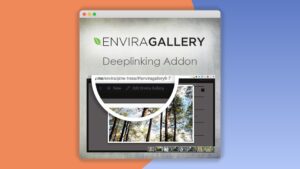Envira Gallery: Plugin WordPress para enlaces directos a imágenes