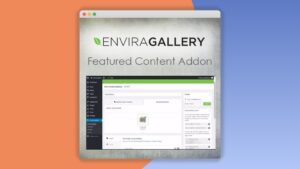 Envira Gallery: Plugin WordPress para destacar contenido clave