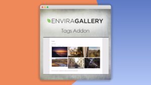 Envira Gallery: Plugin WordPress para etiquetar y organizar galerías