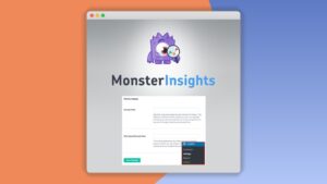 Private: Monsterinsights – Performance Addon