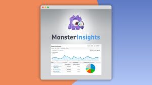 Private: Monsterinsights – Ecommerce Addon