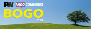 Pw Woocommerce Bogo Pro: Plugin WordPress para crear ofertas compra uno, llévate otro