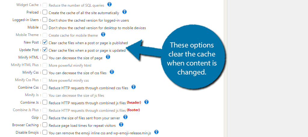 Borrar caché en WordPress