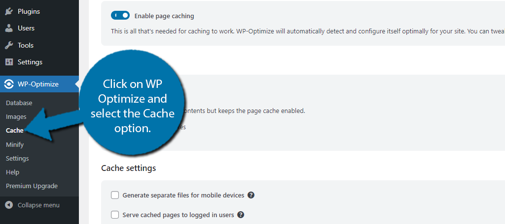 WP Optimizar Borrar caché WordPress